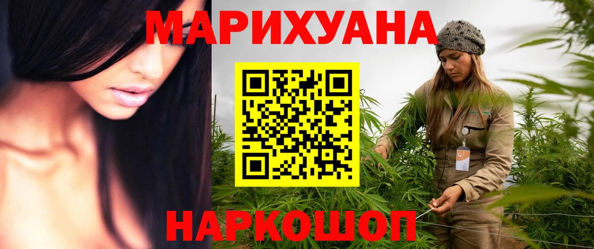 Бошки марихуана OG Kush  Вход с VPN  Марихуана планчик  МАРИХУАНА Bruce Banner  Кувандык 
